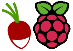 Radicale Raspberry Pi Logo